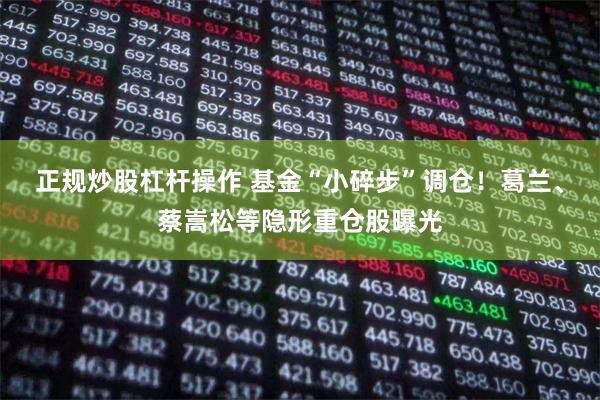 正规炒股杠杆操作 基金“小碎步”调仓！葛兰、蔡嵩松等隐形重仓股曝光