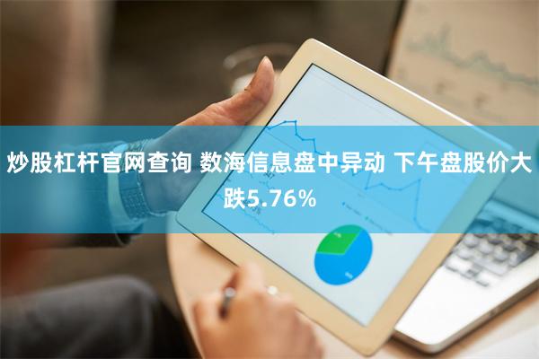 炒股杠杆官网查询 数海信息盘中异动 下午盘股价大跌5.76%