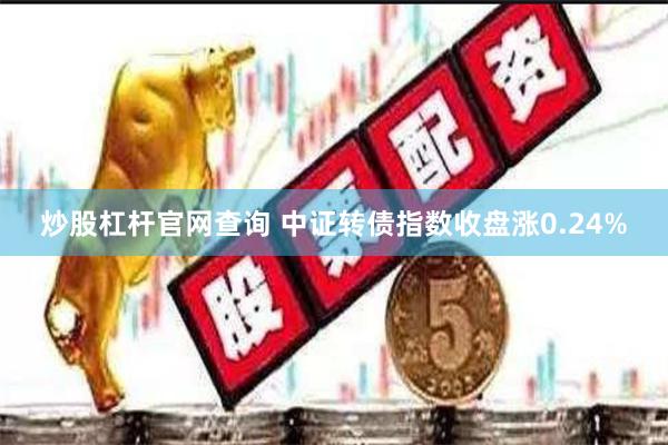 炒股杠杆官网查询 中证转债指数收盘涨0.24%
